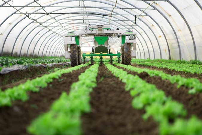 Leveraging Artificial Intelligence To Control Agriculture Robotics