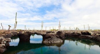 Top 10 Most Beautiful Islands in The Earth