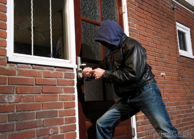 Top 10 Most Famous Cat Burglars In History Topteny Magazine 5368