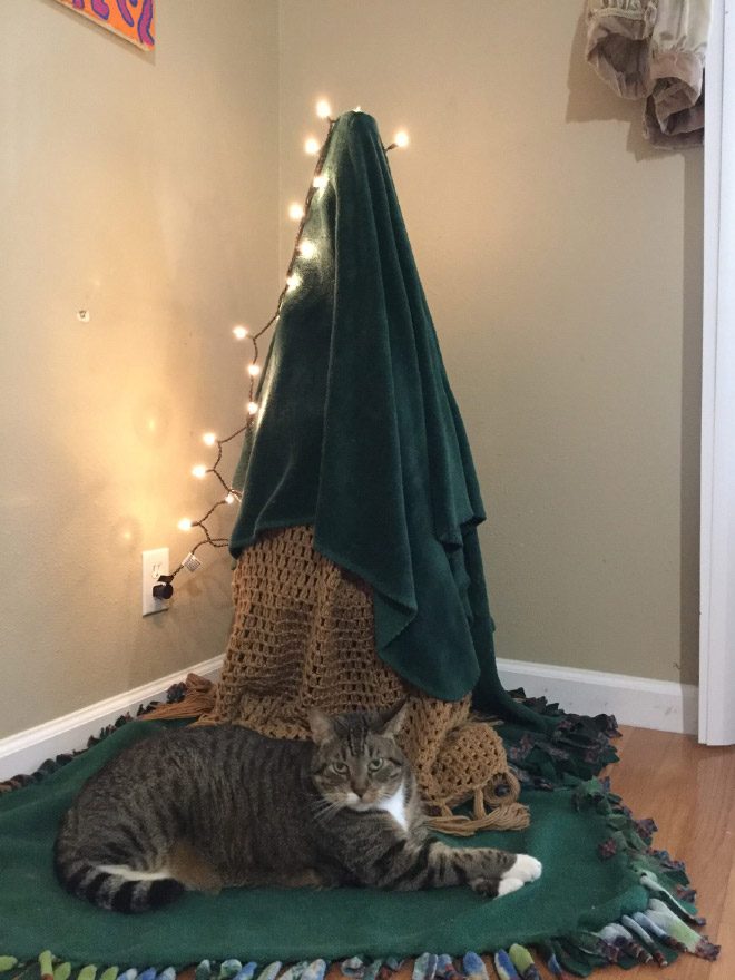 Top 10 Smartest Ways to Protect Christmas Trees from Pets – TopTeny ...