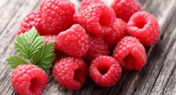 Top 10 Foods That Boost Growth Hormone Naturally