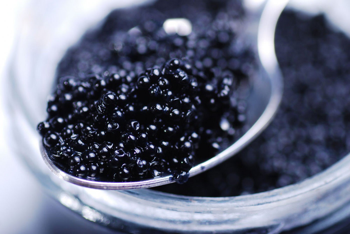 Top 10 Health Benefits of Black Caviar You Should Know – TopTeny Magazine