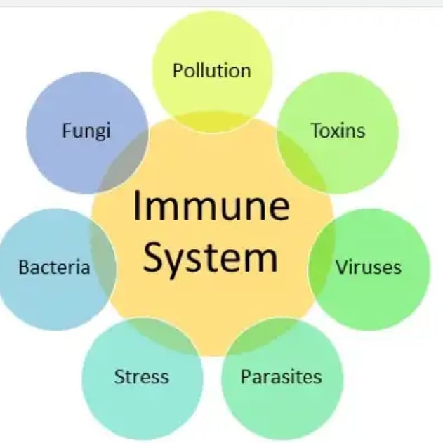 Harmful ways are. Immune System support. Stress and Immunity. Natural Systems.