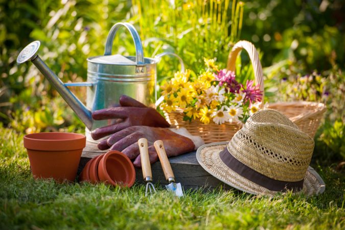 The Top 10 Things Gardeners Need to Know