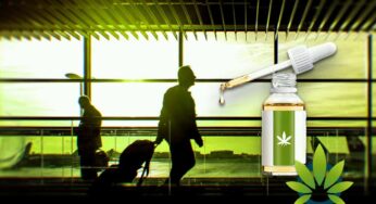 Is CBD Oil Travel-Friendly?