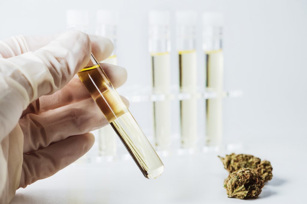 Best 10 Cannabis Oil Extraction Methods – TopTeny Magazine