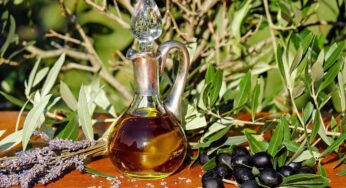 What Is So Special About Texas Olive Oil?