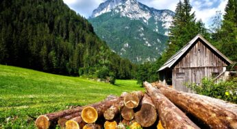 Finding The Perfect Cabin to Spend Your Christmas Holidays
