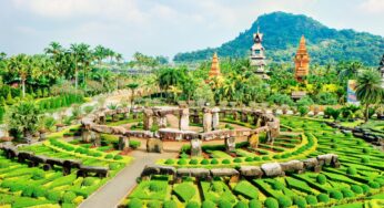 The Importance of Botanic Gardens in Cities