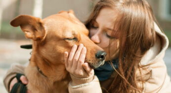 10 Dog Training Tips for Beginners